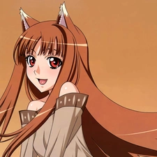 Spice and Wolf