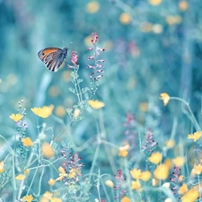 Flowers, Aphantopus Hyperantus, blur, butterfly