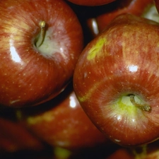 apples, browned, shiny