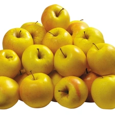 Yellow, apples