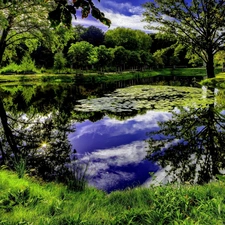 Park, green, Art, Pond - car