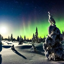 aurora polaris, winter, viewes, star, trees, snow