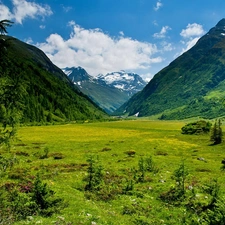 Mountains, Tirol, Austria, woods