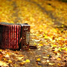 accordion, autumn