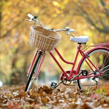 Bike, Leaf, autumn, Park