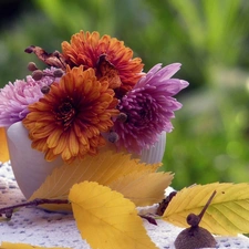 small bunch, twig, autumn, chrysanthemums