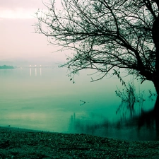 lake, Dusk, autumn, trees