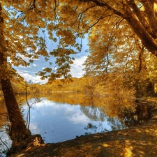 autumn, Park, lake