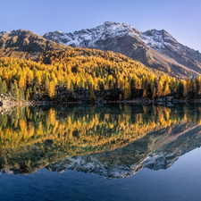lake, Switzerland, viewes, autumn, trees, Mountains