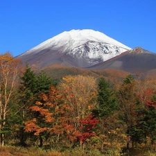 mountains, viewes, autumn, trees