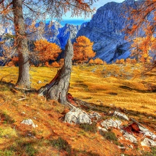 Mountains, viewes, autumn, trees