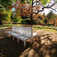 Bench, Park Muzakowski, autumn