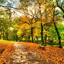 Park, River, autumn, Bench