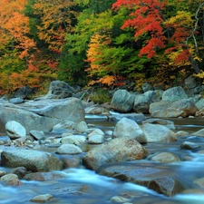 River, forest, autumn, Stones