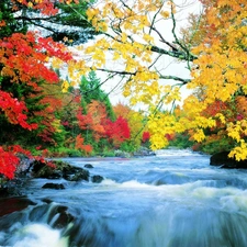 River, viewes, autumn, trees