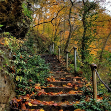 autumn, Stairs, color, Colours, Park