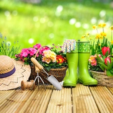 podium, primroses, Baskets, Supplies, Hat, Flowers, Two cars, blurry background, tools, wellingtons