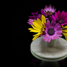 Vase, bouquet, Black, background, table, African Daisies