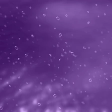 drops, purple, background, water