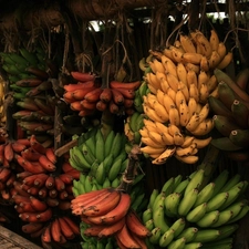 bunches, bananas