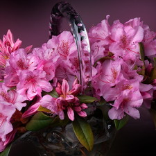 glass, basket, Azaleas, rhododendron, Pink