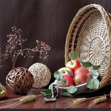 composition, Ears, basket, apples