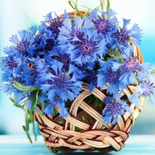 basket, bouquet, cornflowers