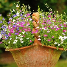 basket, lobelia, earthen