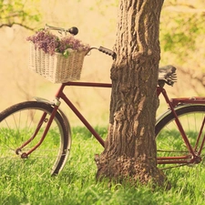 basket, Flowers, trees, grass, Bike