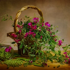 basket, pods, Fragrant Peas, Flowers, composition