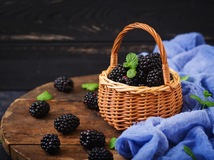 basket, blackberries, leaves