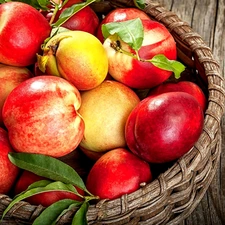basket, Fruits, nectarines