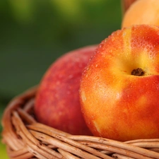 nectarines, basket