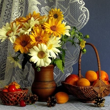 basket, daisy, orange