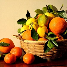 basket, lemons, orange