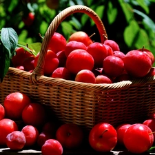 basket, Red, plums