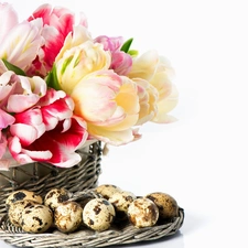 quail, Tulips, basket, eggs