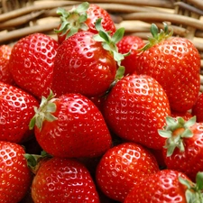 strawberries, basket