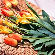 basket, bouquet, Tulips