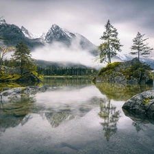 Fog, Alps Mountains, Lake Hintersee, trees, Bavaria, Germany, rocks, Islets, viewes