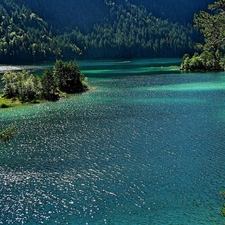 lake, Grainau, Bavaria, woods