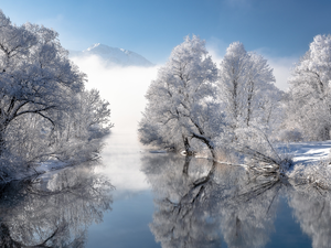 viewes, trees, Snowy, Bavarian Alps, Mountains, Bavaria, reflection, winter, Germany, water, River, snow