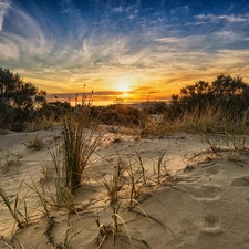 Beaches, grass, sun, sea, west