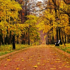 viewes, Park, Bench, autumn, Leaf, trees