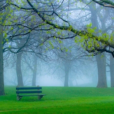 Bench, Fog, trees, viewes, Park
