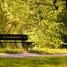 Bench, Park, Path