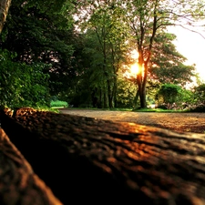 west, Park, Bench, sun