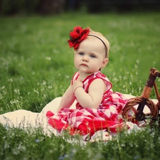 small, wicker, Bicycle, girl