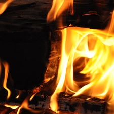 Big Fire, Wood