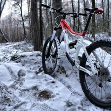 Bike, winter, forest